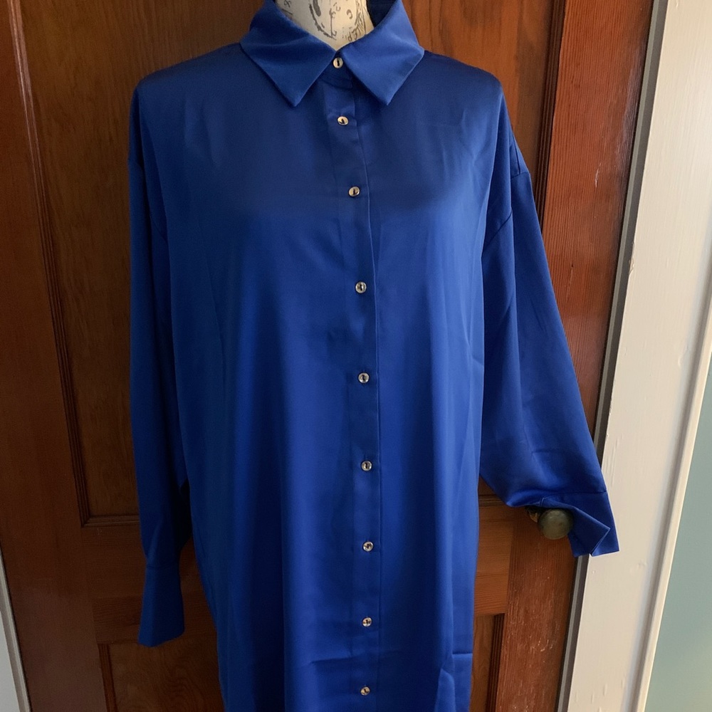 ee:some Button Front Royal Blue Dress (L)